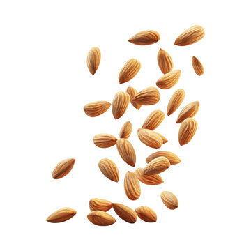 PNG 3D Minimalist Cartoon Style Tasty Almonds Clipart Against Transparent Background for Food Branding, Healthy Snacks Promotions, or Organic Design Projects