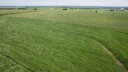 An arial view of cornfields in Missouri. 