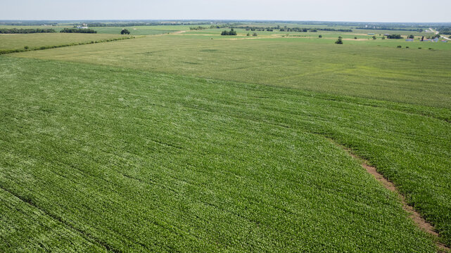 An arial view of cornfields in Missouri. 