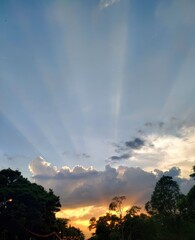 Celestial Brushstrokes