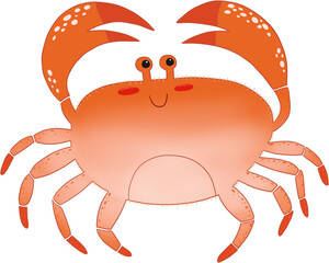 red crab on white background