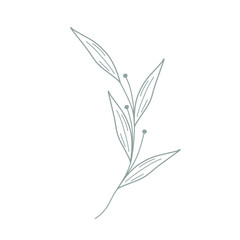 Leaf illustration for wedding invitation decoration. Minimalist leaf illustration. Beautiful leaf illustration. Botanical leaf illustration. Line art leaf illustration