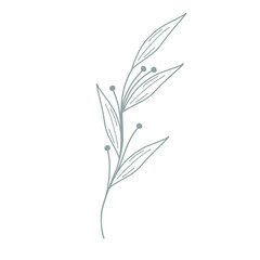Leaf illustration for wedding invitation decoration. Minimalist leaf illustration. Beautiful leaf illustration. Botanical leaf illustration. Line art leaf illustration