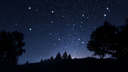 Starry Night Over Silhouetted Trees