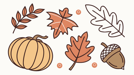 Collection of autumnal elements including pumpkin leaves and acorn isolated on white background