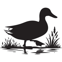 A duck vector illustration silhouette, wildlife, animal vector.