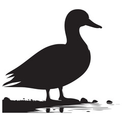 A duck vector illustration silhouette, wildlife, animal vector.
