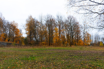 Autumn landscape featuring vibrant orange and yellow foliage on trees, with a serene grassy field...