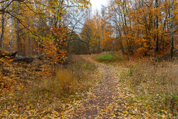 Autumn landscape featuring a winding path through vibrant orange and yellow foliage, surrounded by trees and grass, creating a serene outdoor atmosphere for nature lovers, Battery Mountain, Vyborg