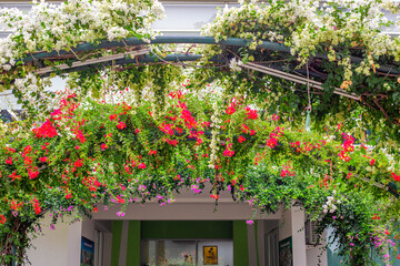 A picturesque arch covered in lush greenery with cascading white and red bougainvillea flowers frames the entrance to the building