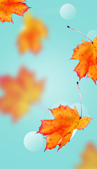 Autumn leaves on the fall blurred background .