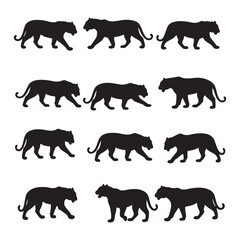 Collection of black panther silhouettes walking on white background silhouette isolated on white background
