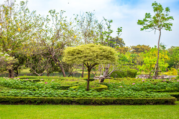 A neatly maintained garden with neatly trimmed hedges and a tree creates a peaceful landscape in the park