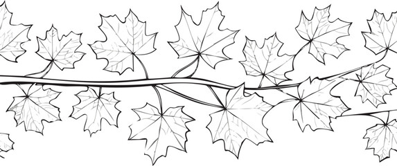 Obraz premium maple leaves autumn tree branch isolated on white transparent background. cut out.leaf, tree branch, colours, gold, growth, ecology, foliage, herb, alpha, freshness, isolated, maple, november, white,