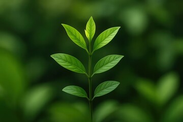 Obraz premium A Close-Up of a Thriving Leaf in Vibrant Green Hues