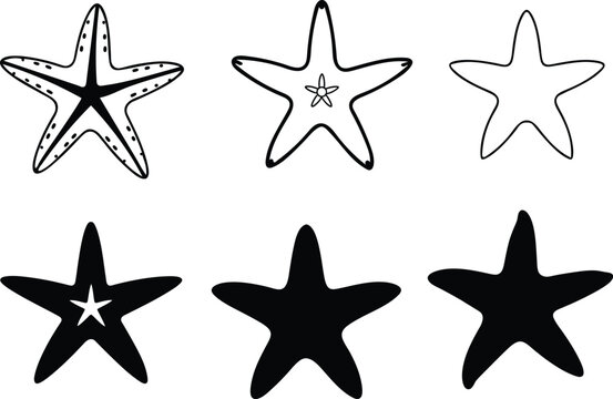 set of starfish, Collection of starfish illustration