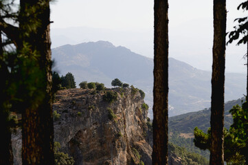 Breathtaking Landscape View of a Cliffside With Lush Trees Framed by Foreground Tree Trunks