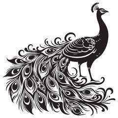 Fototapeta premium A beautiful peacock vector silhouette