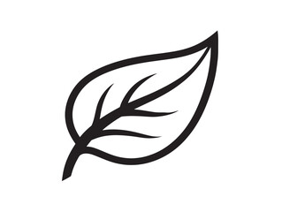 Calm and Clean Aromatherapy Leaf Vector Icon