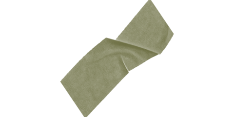 An olive green irregular shape on a black background in a simple digital rendering style