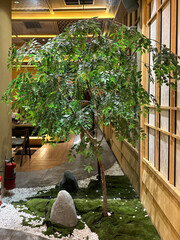 Green tree with small garden corner in modern Zen Japanese theme. Beautiful indoor garden corner...