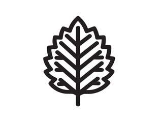 Eco Bio Leaf Icon in Modern Clean Vector Style