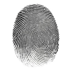 Single Black Ink Fingerprint on White Background
