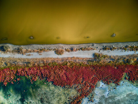 Aerial view of a vibrant tapestry where golden water meets earthy tones, separated by a strip of land and then bursts into a display of green and reddish hues, Kalochori, Thessaloniki, Greece.