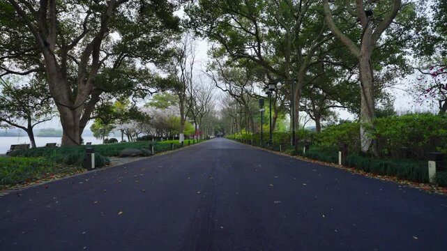 A trail in the shade of the ancient trees of West Lake in the early morning