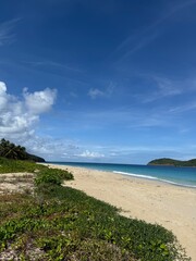 tropical beach in culebra