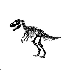 Fototapeta premium tyrannosaurus rex skeleton