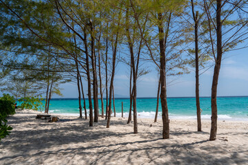 Trees on beach on Bamboo Island or Ko Mai Phai is small island in Thailand, located between Krabi coast and Phi Phi Islands, Adaman sea
