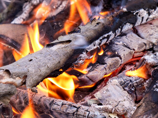 wood burning in a fireplace