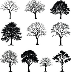 Obraz premium Silhouettes of Botanical Contrast and Calm: A Minimalist Grid of Nine Unique Tree Forms Symbolizing Natural Diversity, Seasonal Shifts, and Organic Beauty