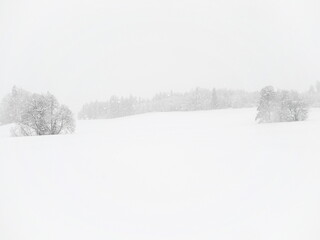 Snowy field with trees in the background