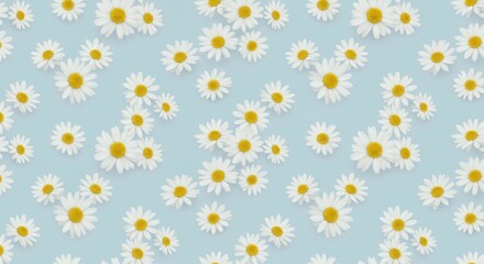 Scattered Daisy Flowers Pattern on Blue Background
