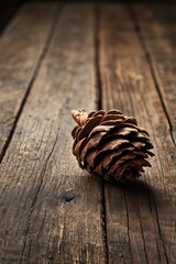 Lonely Pinecone on Wooden Background Creates a Minimal Autumn Mood With Natural Forest Texture
