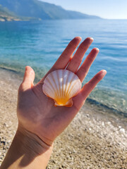 holding a seashell in his hand with a view of the sea and the beach