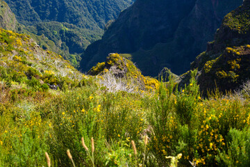 beautiful mountain landscape on the island of Madeira in Portugal