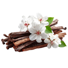 Fototapeta premium Close up of a fresh juicy kiwi fruit half with water droplets isolated on transparent background