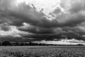 Das Feld und die Wolken