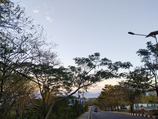 Evening street scene with trees lining both sides of the road, motorcycles, and pedestrians under a clear sky during sunset