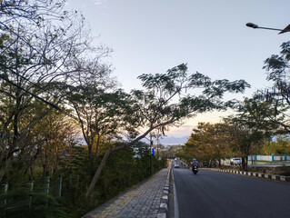 Scenic street view at sunset with trees lining the road, motorcycles and cars passing by, and a...