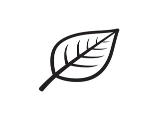 Organic Minimal Leaf Line Art with Simple Beauty