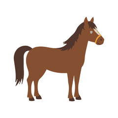 Cute funny horse Cartoon vector design isolated on white background