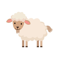 Cute funny domestic sheep animal vector design on white background.