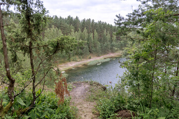 Hidden Lake Shore Through Dense Forest Foliage