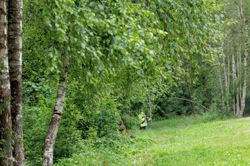 Worker Trimming Greenery in a Lush Forest