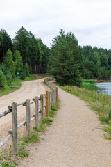  Forest Road Along a Serene Lake