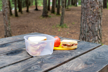  Forest Picnic with Sandwiches and Tomato